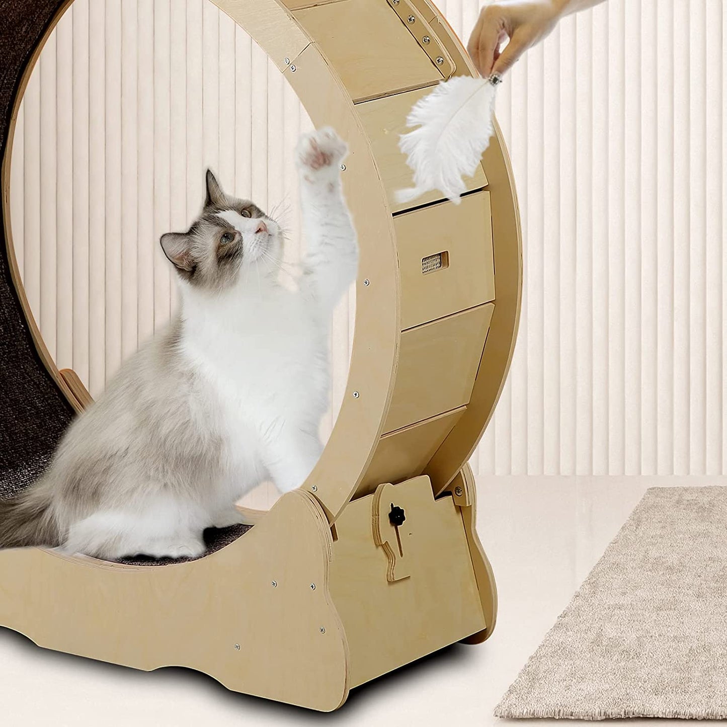 Exercise Wheel For Cats