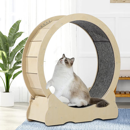 Exercise Wheel For Cats