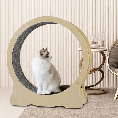 Exercise Wheel For Cats