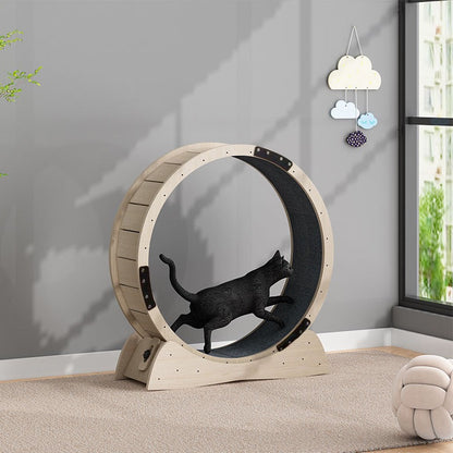 Exercise Wheel For Cats