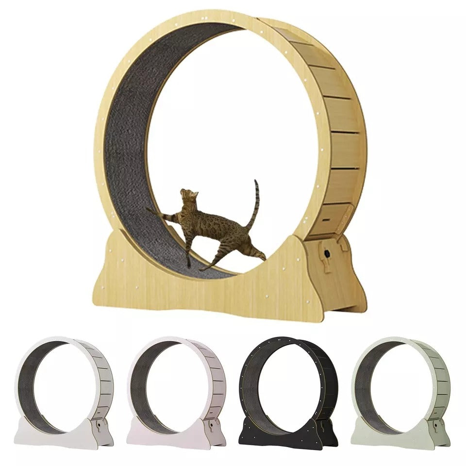 Exercise Wheel For Cats