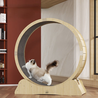 Exercise Wheel For Cats